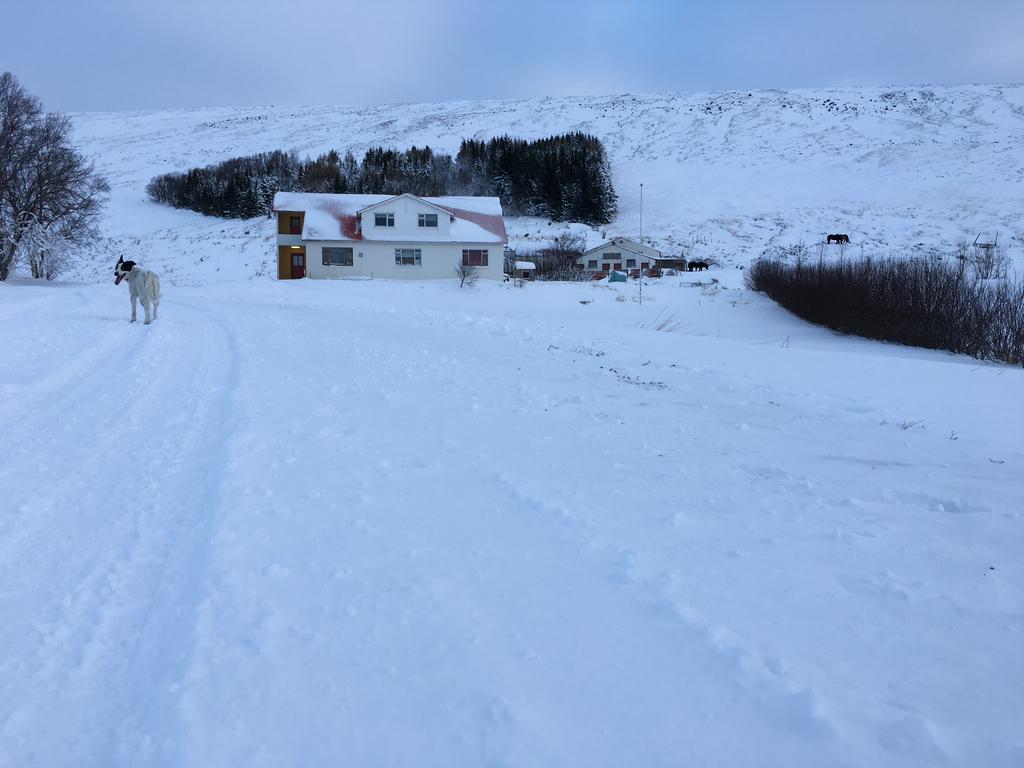 Oendolfsstathir Farm B&B Laugar  Exterior photo
